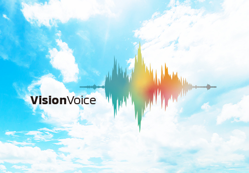 visionvoice
